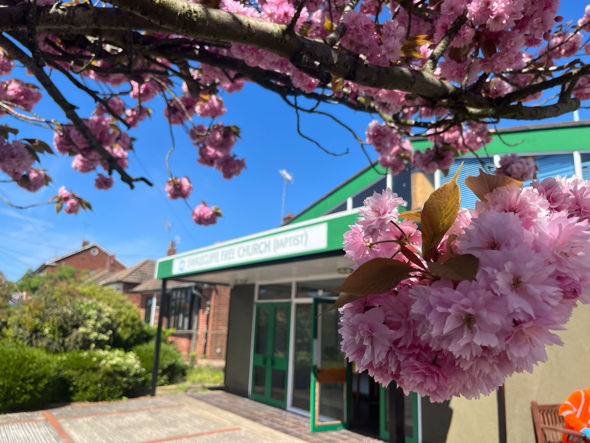 SFCB Church & blossom