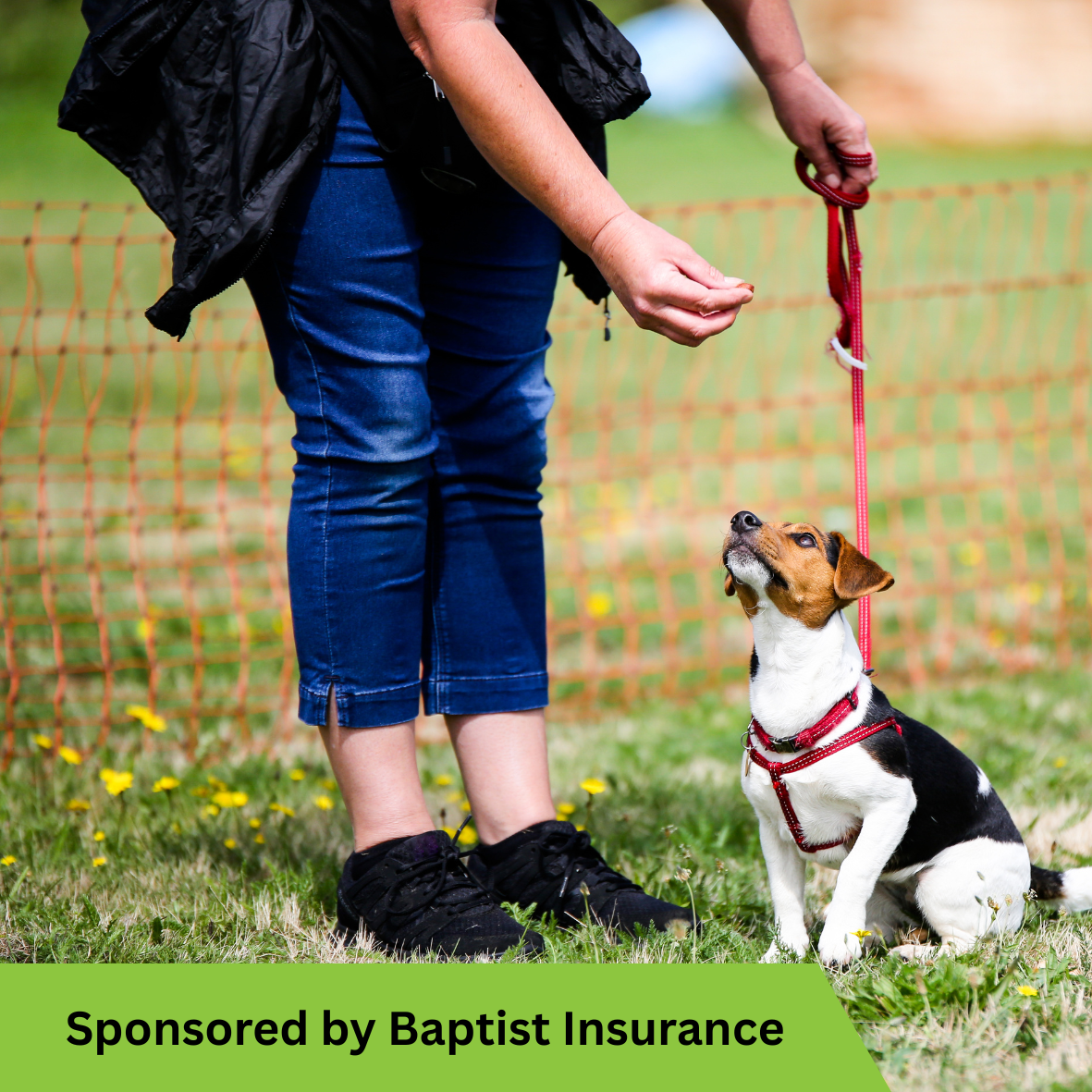 Events dog Fundraising