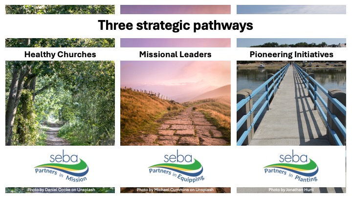 3 pathways